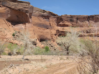into the canyon